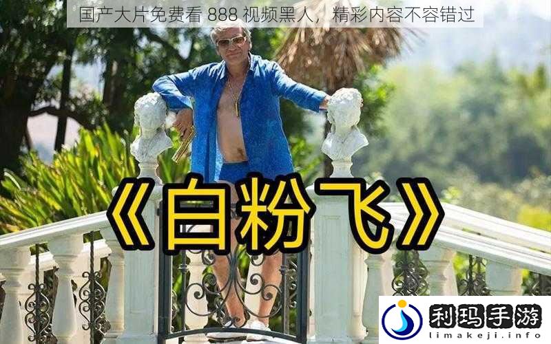 国产大片免费看 888 视频黑人，精彩内容不容错过