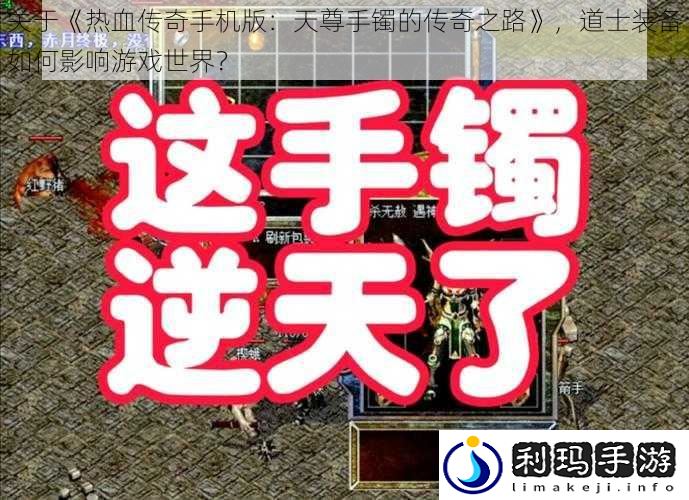 关于《热血传奇手机版：天尊手镯的传奇之路》，道士装备如何影响游戏世界？