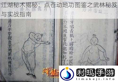 江湖秘术揭秘：点苍动地功图鉴之武林秘笈与实战指南