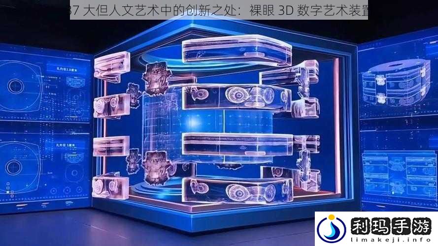 37 大但人文艺术中的创新之处：裸眼 3D 数字艺术装置