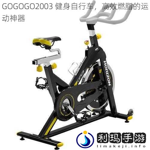 GOGOGO2003 健身自行车，高效燃脂的运动神器