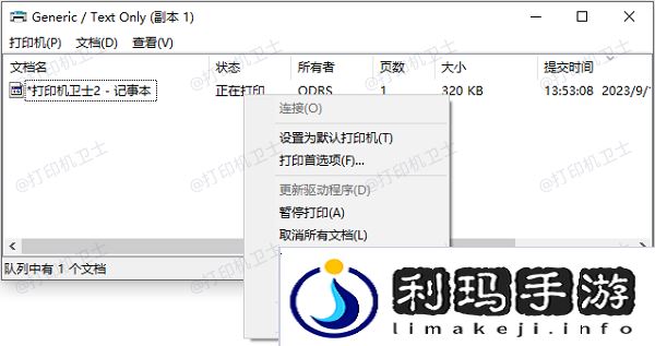 检查打印队列和打印任务设置